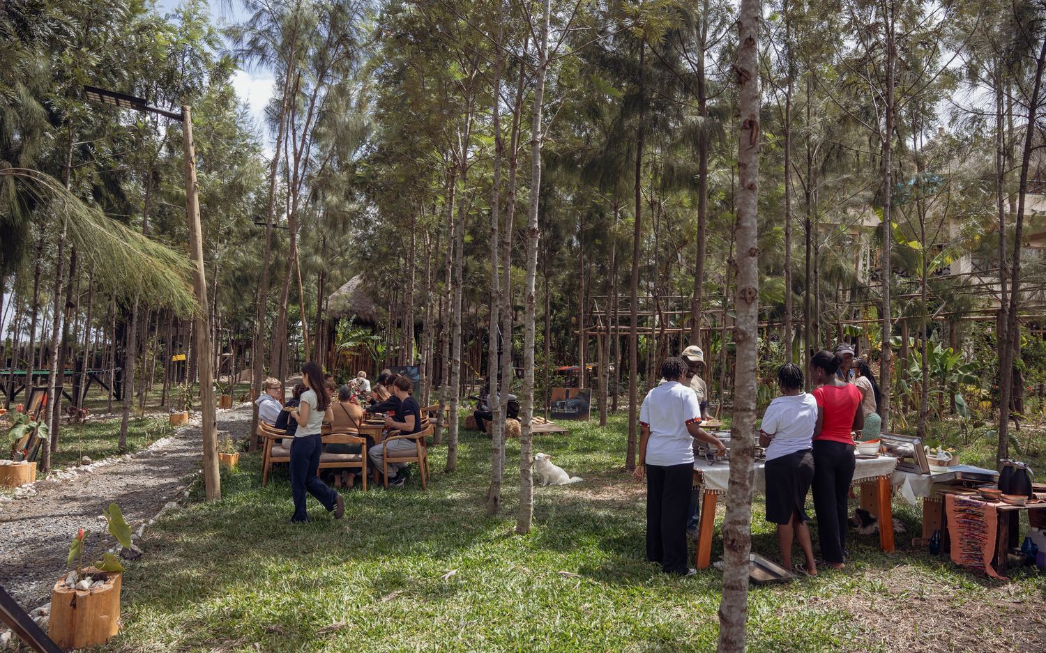 The group eating in the grounds at the lodge
