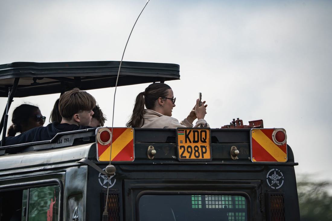 A giraffe beside the safari truck